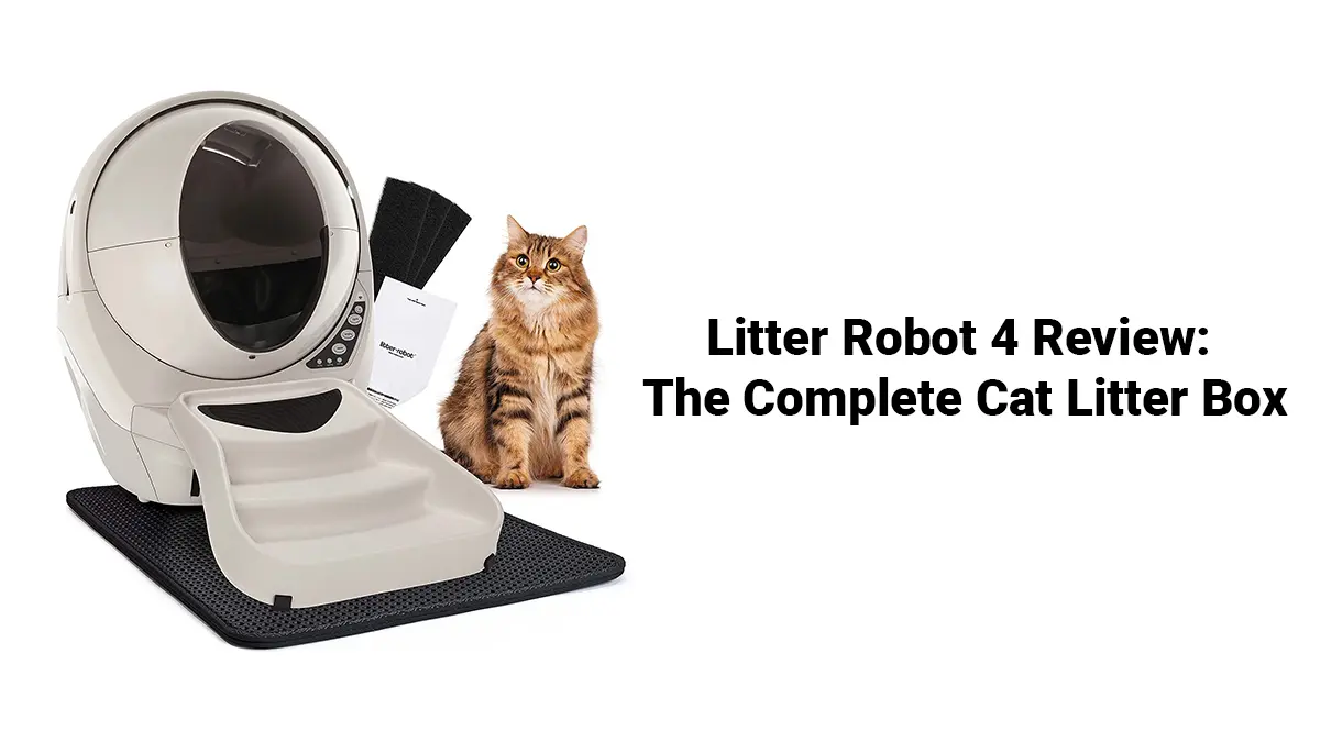 Litter Robot 4 Review: Features, Pros, Cons & Alternatives